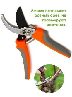 Сучкорез #1