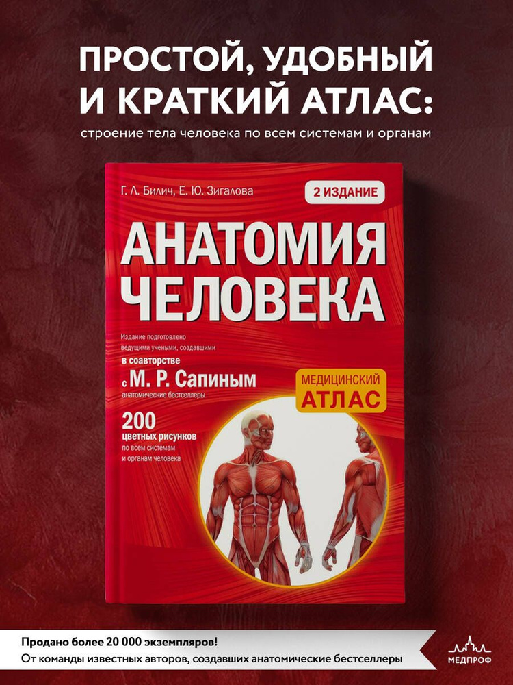 Анатомия человека (цветной атлас): 2 издание | Билич Габриэль Лазаревич, Зигалова Елена Юрьевна  #1