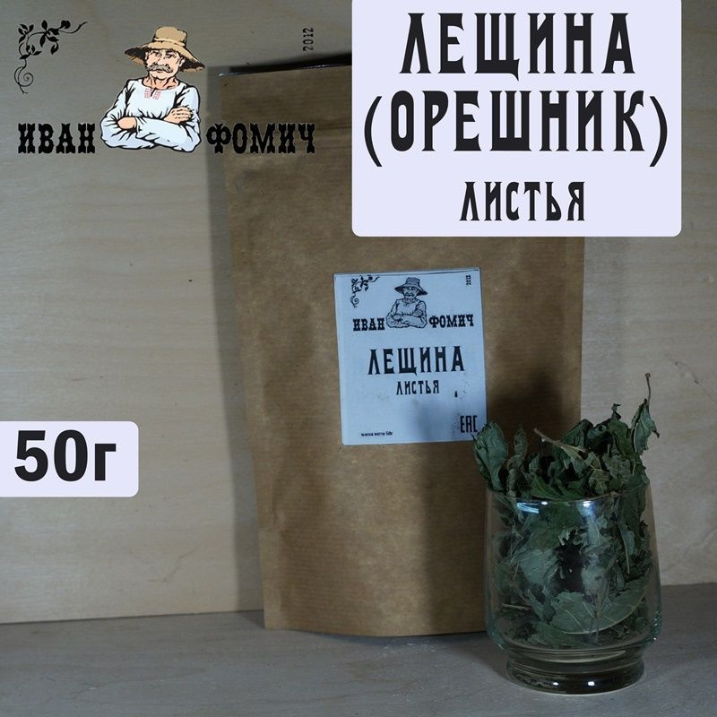 Лещина листья #1
