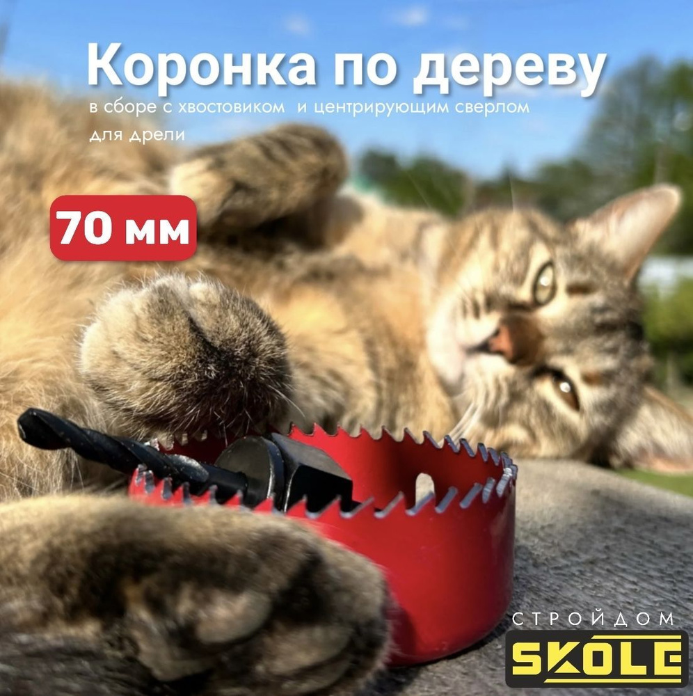 Коронка по дереву с центром 70 мм SKOLE #1