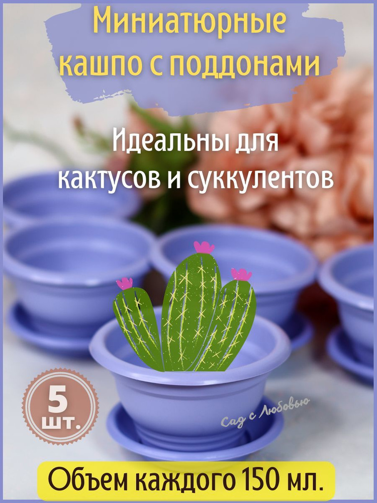 5 Кашпо для кактусов, фиалок, суккулентов с поддоном, маленькие ...