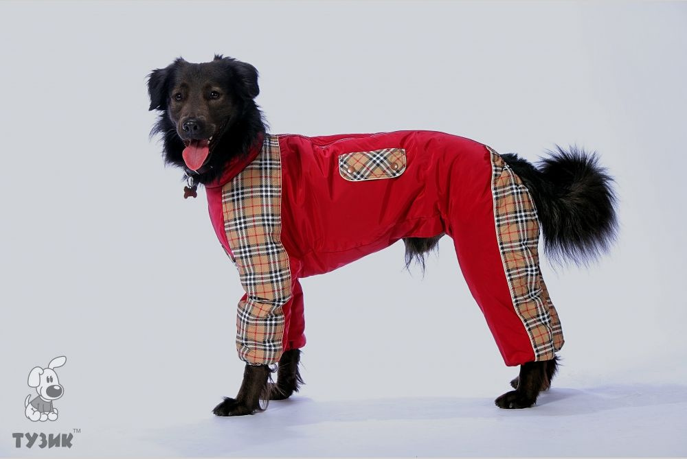 ТУЗИК Комбинезон теплый для породы пойнтер кобель - купить с доставкой ...