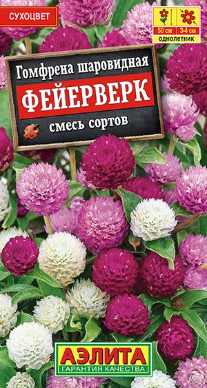 Семена Гомфрена шаровидная Фейерверк смесь сортов 0,1г #1