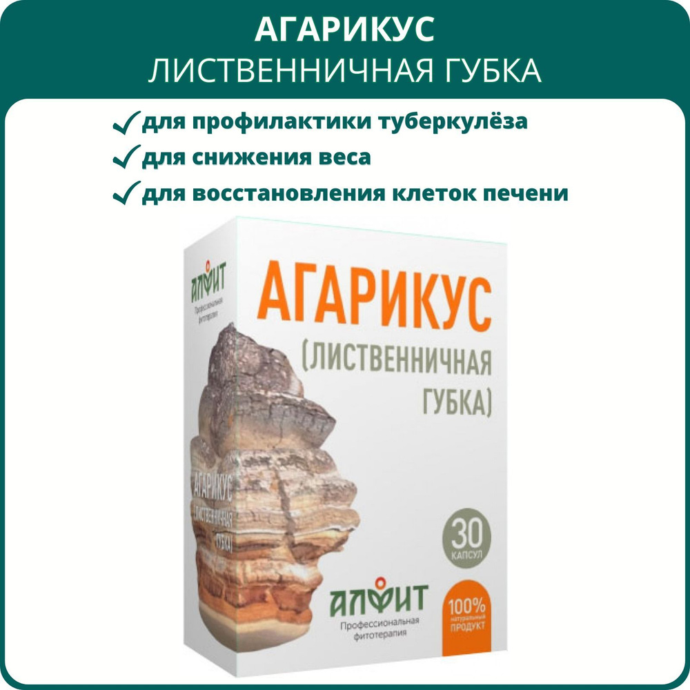 Агарикус (лиственничная губка), 30 капсул. Для похудения, нормализации  обмена веществ и очищения организма от токсинов и шлаков, противоопухолевый  сбор - купить с доставкой по выгодным ценам в интернет-магазине OZON  (709215294)