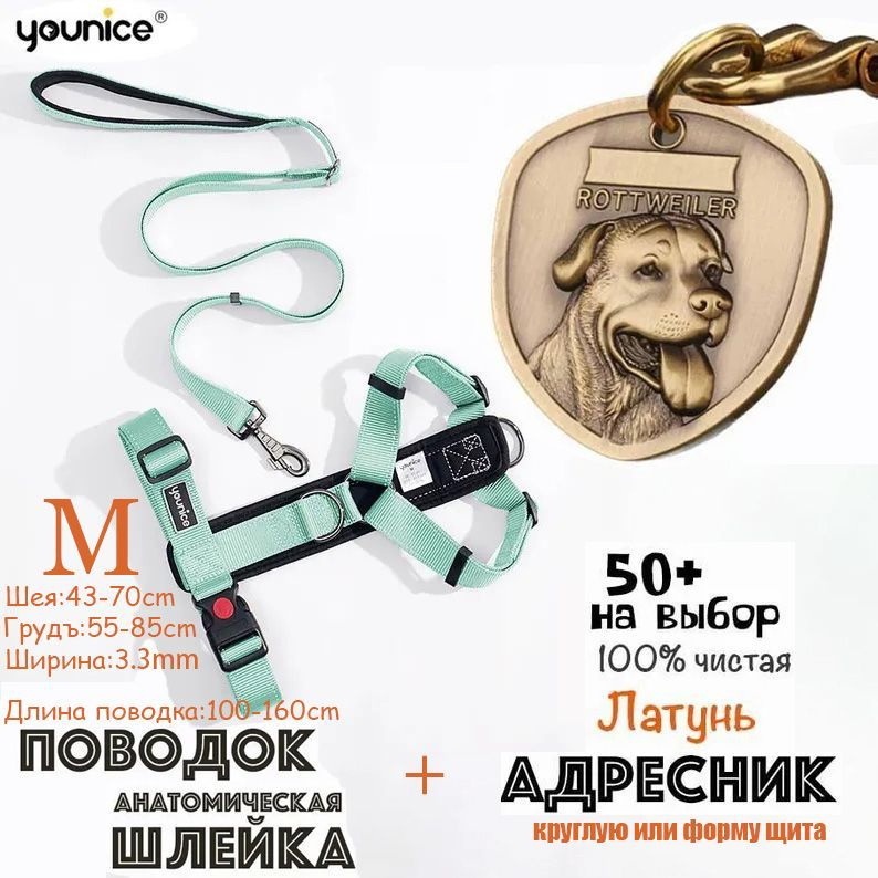 Адресник для собак с пряжкой подковы, из латуни, Большой размер, Форма ...