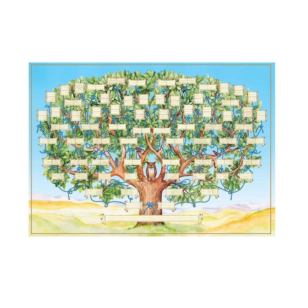 Схема генеалогического древа для заполнения плаката по гене, 190 см ...