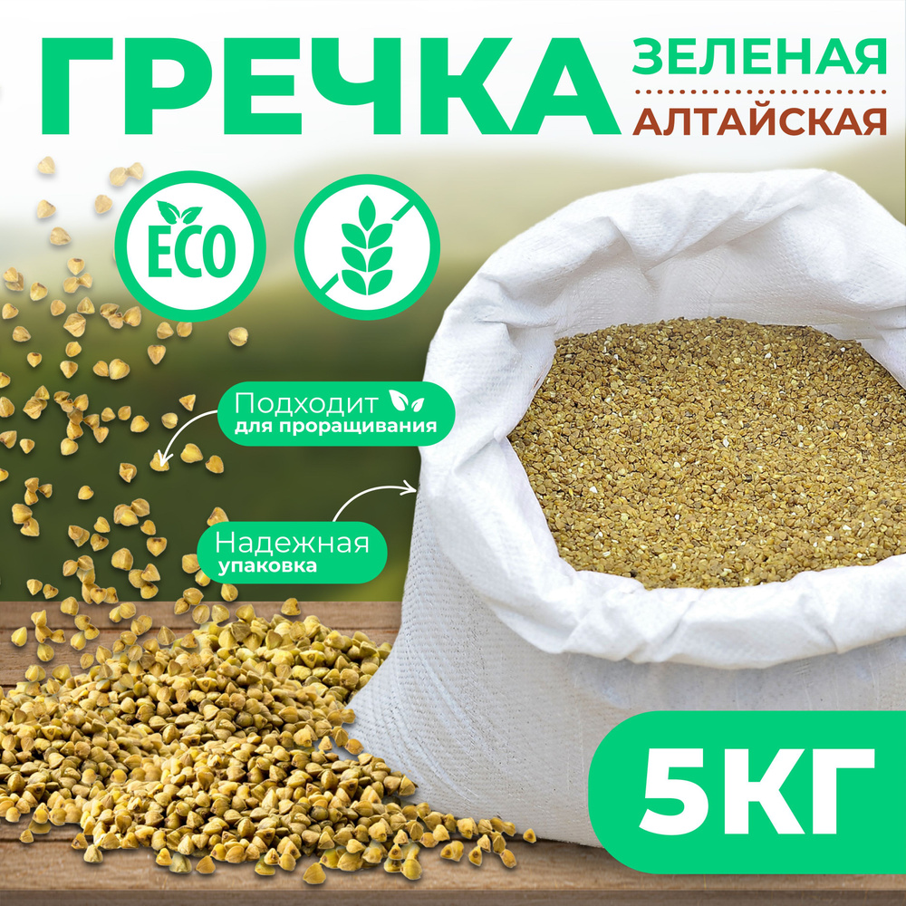 Гречка зеленая непропаренная Алтайская натуральная 5 кг  #1