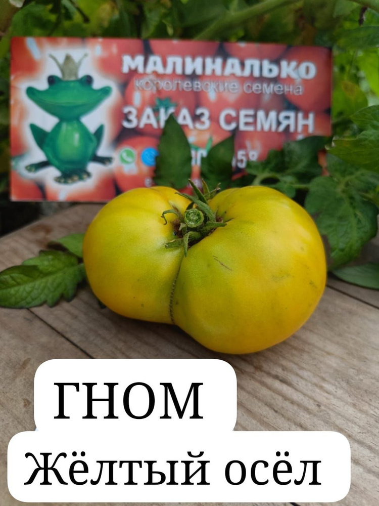 Семена #1