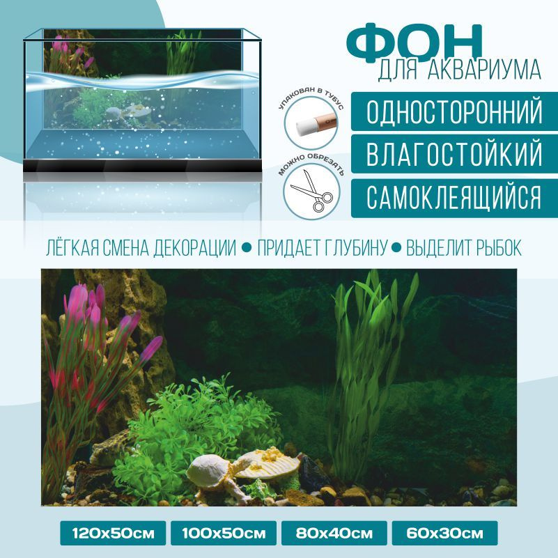 Фон для аквариума ПолиЦентр мир под водой тип 11 односторонний 600х300 мм -  купить с доставкой по выгодным ценам в интернет-магазине OZON (1210428976)