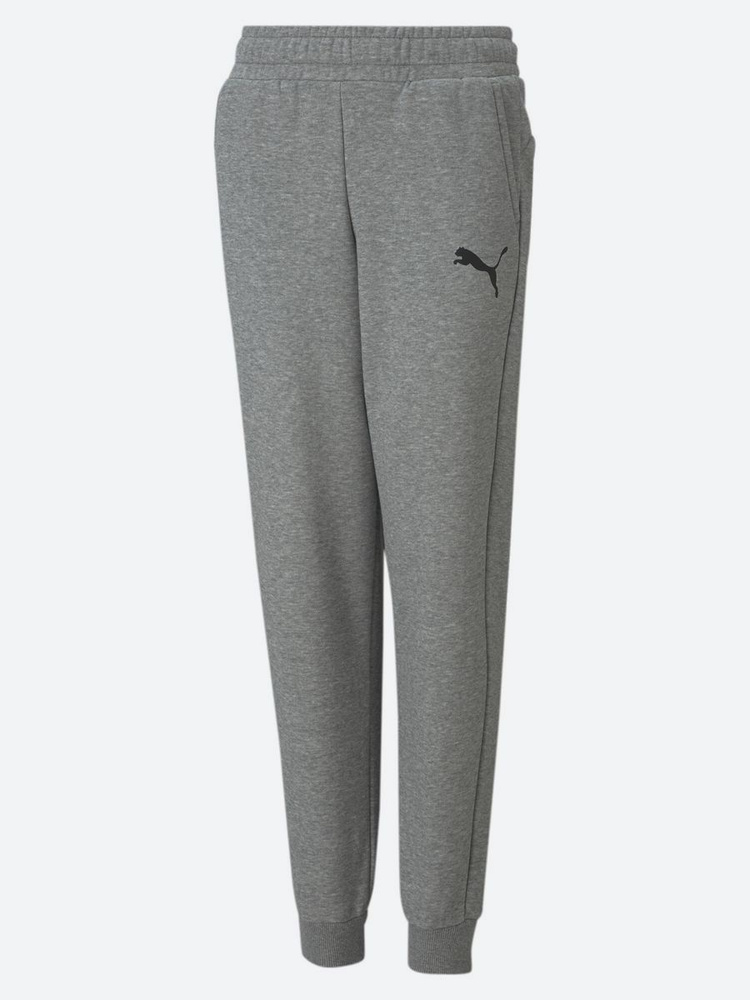 Брюки спортивные PUMA Ess Logo Pants #1