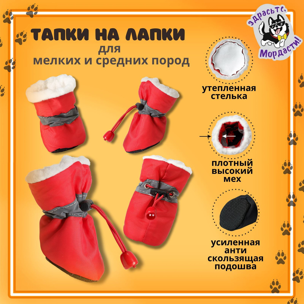 Ботинки для животных, размер XL+. Зимняя обувь для средних и крупных пород  собак. - купить с доставкой по выгодным ценам в интернет-магазине OZON  (1187375569)