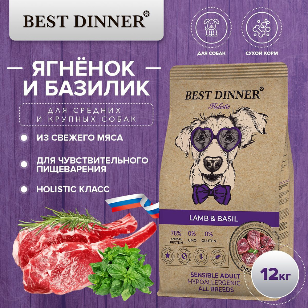 Best holistic dog food best sale