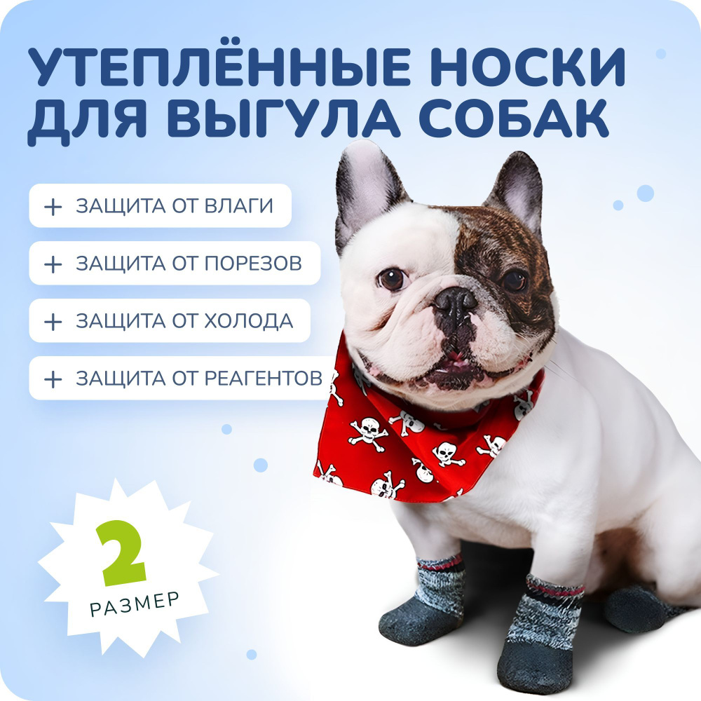 Утеплённые прорезиненные носки для мелких пород с фиксаторами Space Groom, зимняя  обувь для собак с защитой от реагентов и соли, размер #2 - купить с  доставкой по выгодным ценам в интернет-магазине OZON (453579666)
