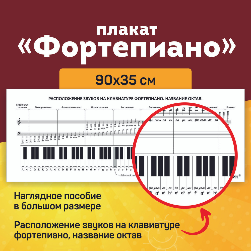 Плакат обучающий Фортепиано, нотный стан. Выручалкин. - купить с доставкой  по выгодным ценам в интернет-магазине OZON (784329272)