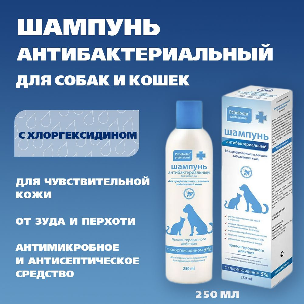 Шампунь Пчелодар Антибактериальный, с хлоргексидином 5%, вет - купить с  доставкой по выгодным ценам в интернет-магазине OZON (1115449198)