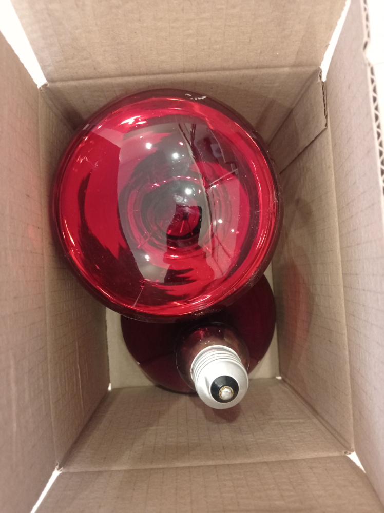 Лампа инфракрасная зеркальная красная ИКЗК 250 Ватт для обогрева цыплят ...