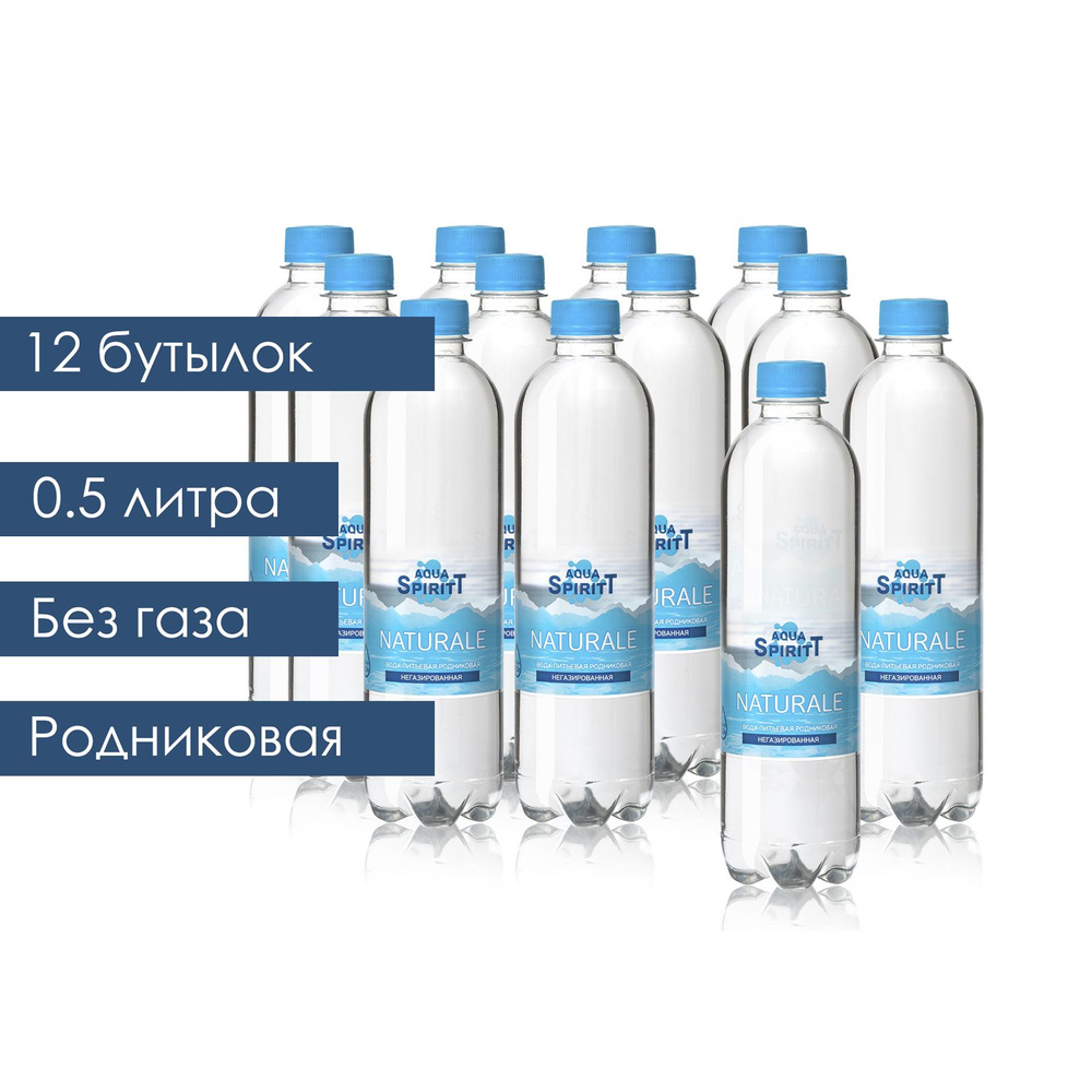 Aqua SpiritT Вода Питьевая Негазированная 500мл. 12шт #1