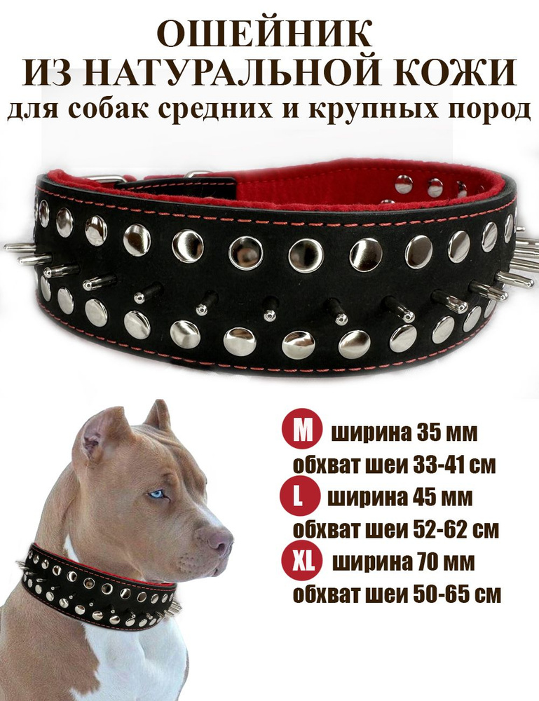 Кожаный ошейник Dober-Крут для собак с шипами - купить с доставкой по ...
