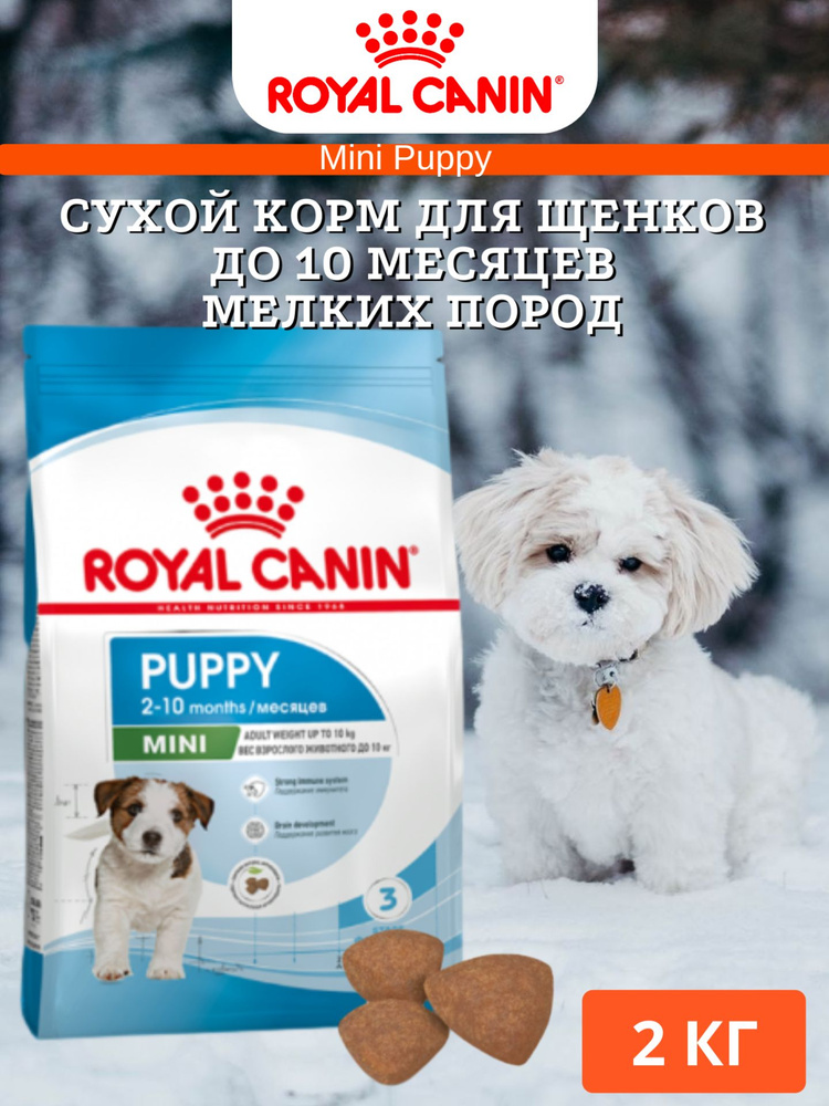 Royal Canin Mini Puppy Сухой корм для щенков до 10 месяцев мелких пород 2кг  #1