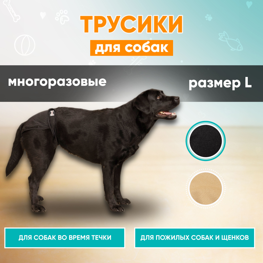 Трусы для собак многоразовые во время течки, подгузник для собак Mr Dog ...