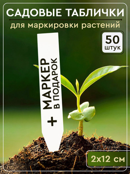 Делаем грамотные бирки для маркировки рассады! | 74today.ru