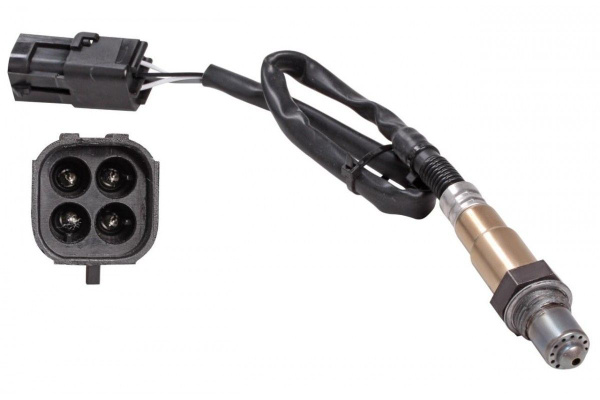 Үлкен есек үй шаруасындағы әйелдермен порно Жыныстық пси