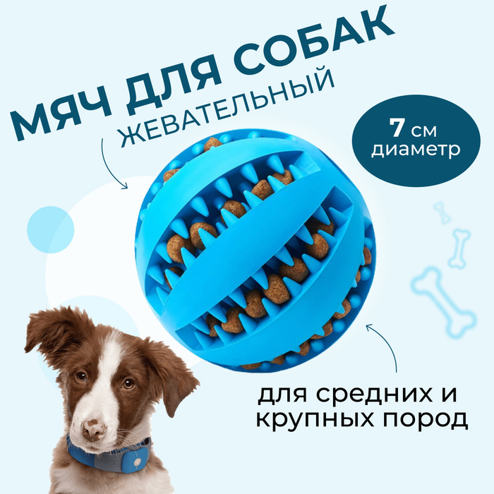 Жевательный мяч для дрессировки собак, игрушка грызунок кусалка для ...