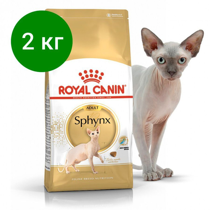 Лучший сухой корм для сфинксов. Сфинкс с кормом роял канин. royal canin sphynx.
