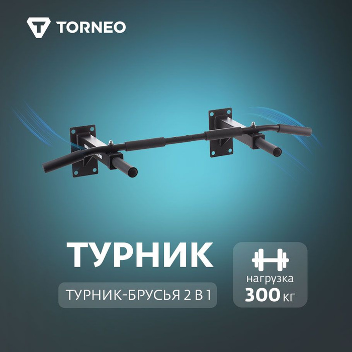 Турник настенный Torneo a 990wg