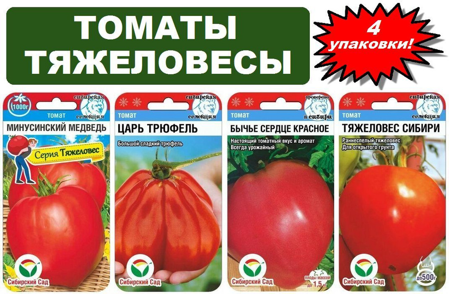 Минусинский медведь томат отзывы фото - Profhobby.ru