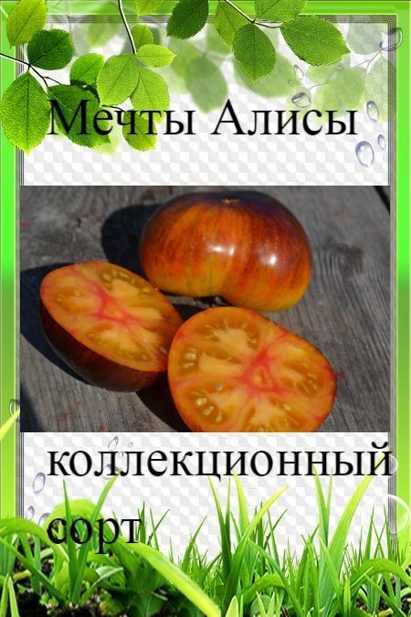 Купить Семена Томатов Мечта Алисы