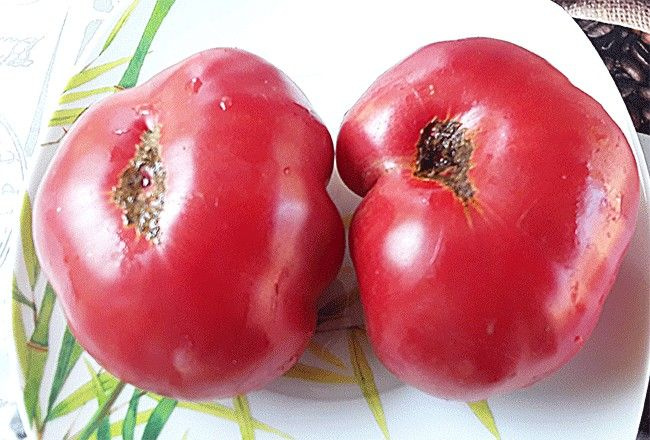 The Cottage Gardener: Harvest Days - Tomato Time! 915