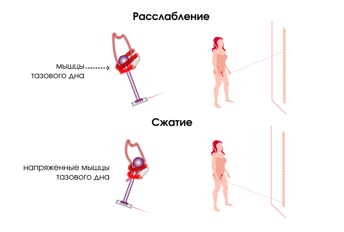 Текстовое описание изображения