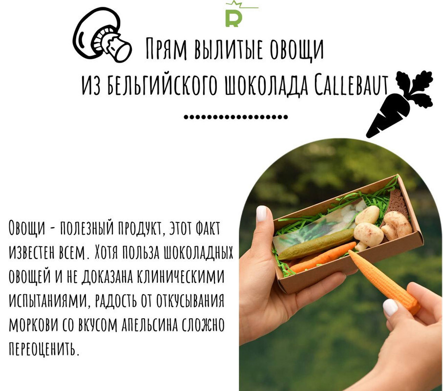 Текстовое описание изображения