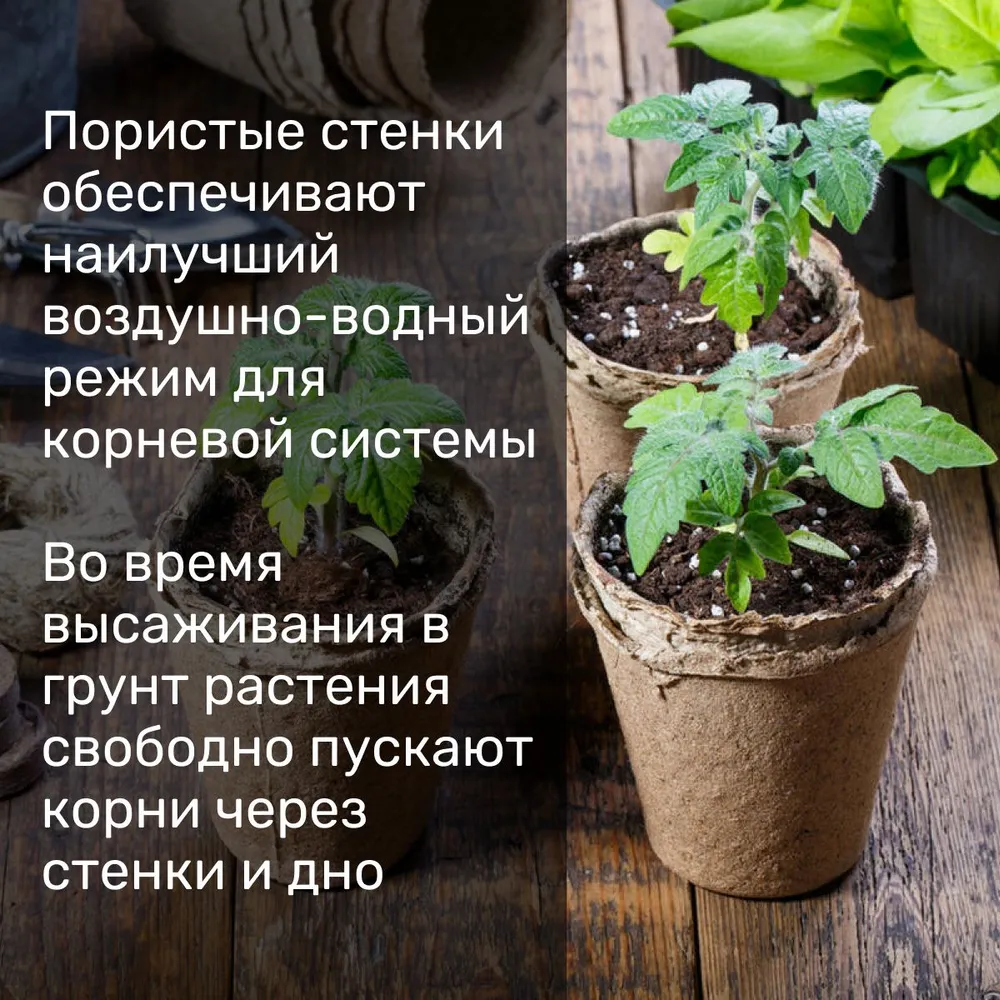 Набор горшков из натурального торфа 20 штук, 80х80 мм, объемом 250 мл для выращивания и пересадки рассады цветов, огурцов, томатов, кабачков и других овощных культур, 80x80 мм, 250 мл, фото 6