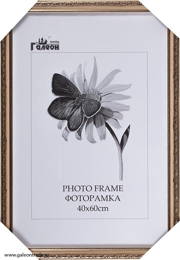 Фоторамка пластиковая 40 х 60 см, 3101C-213A
