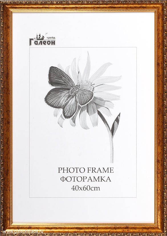 Фоторамка пластиковая 40 х 60 см, медный