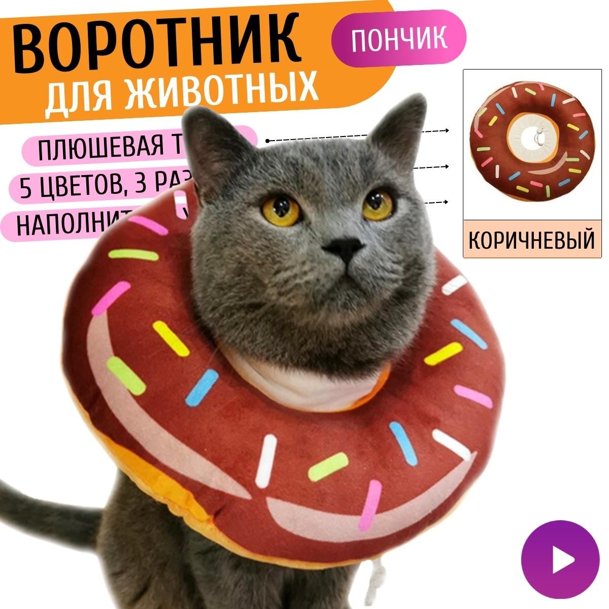 Послеоперационная попона и воротник для кота