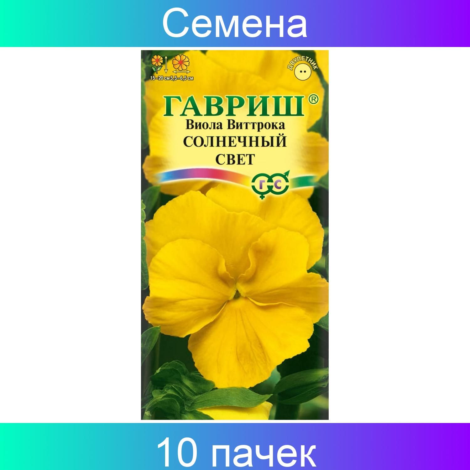 Виолла - солнечный день - 40 фото Виолла - солнечный день - 40 фото