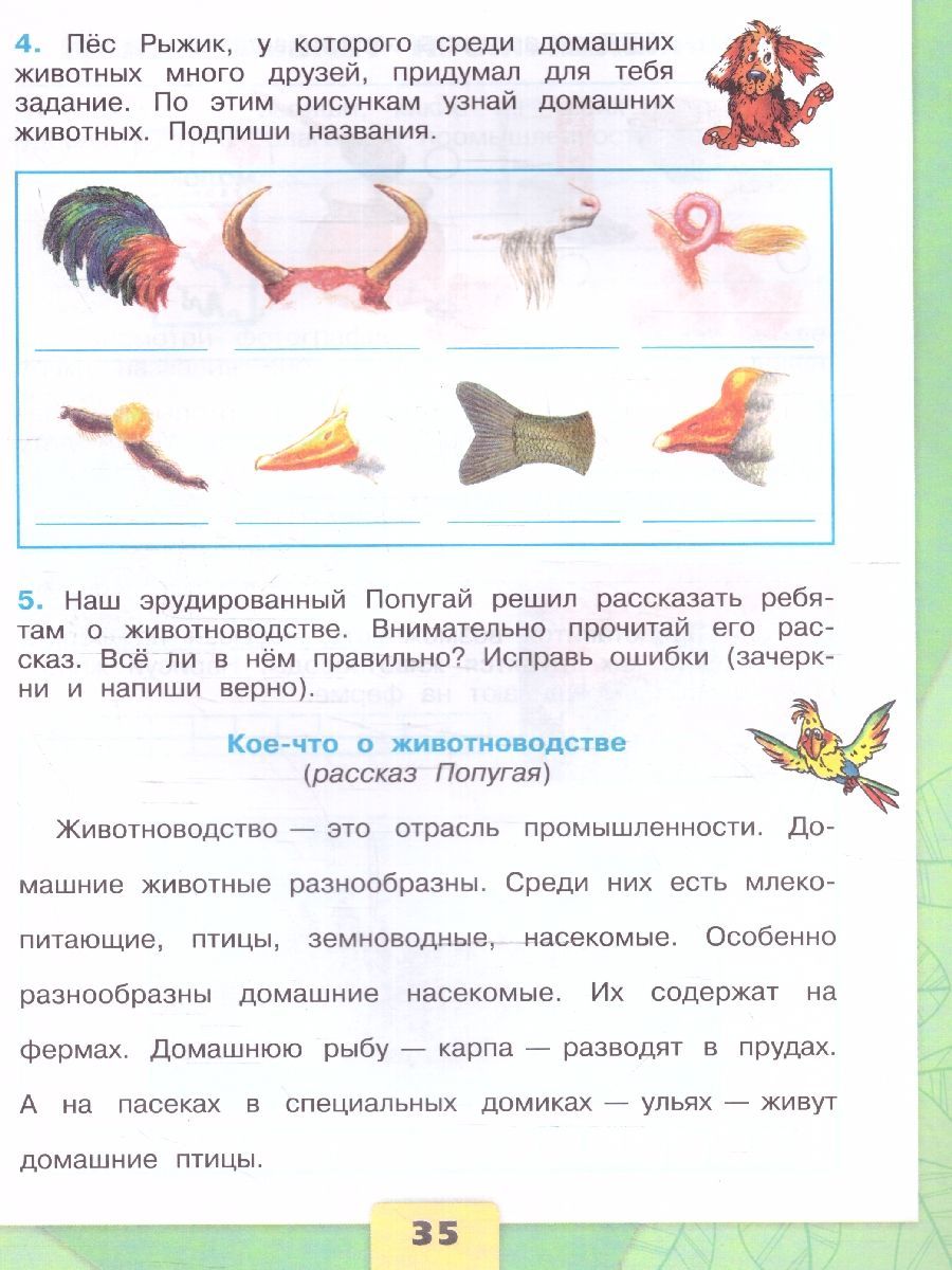 Окружающий мир 3 класс. Рабочая тетрадь. Комплект из 2-х частей. ФГОС | Reference Book - Ozon image 7