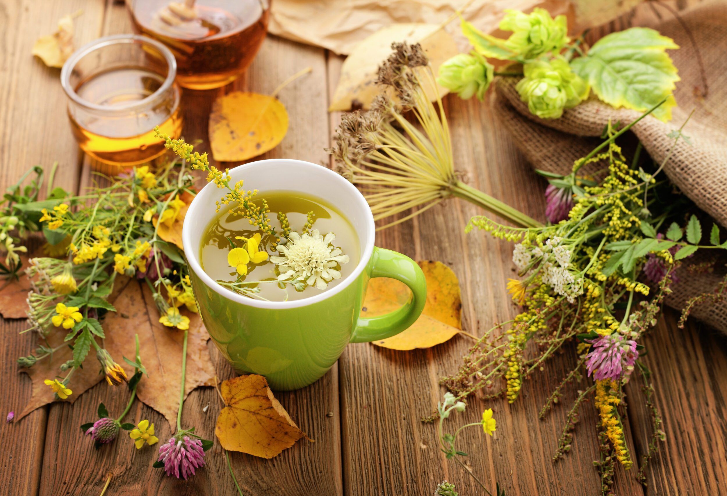 Народная медицина рук. Травяной чай. Целебные травы. Чай из лекарственных растений. Чашка чая с травами.