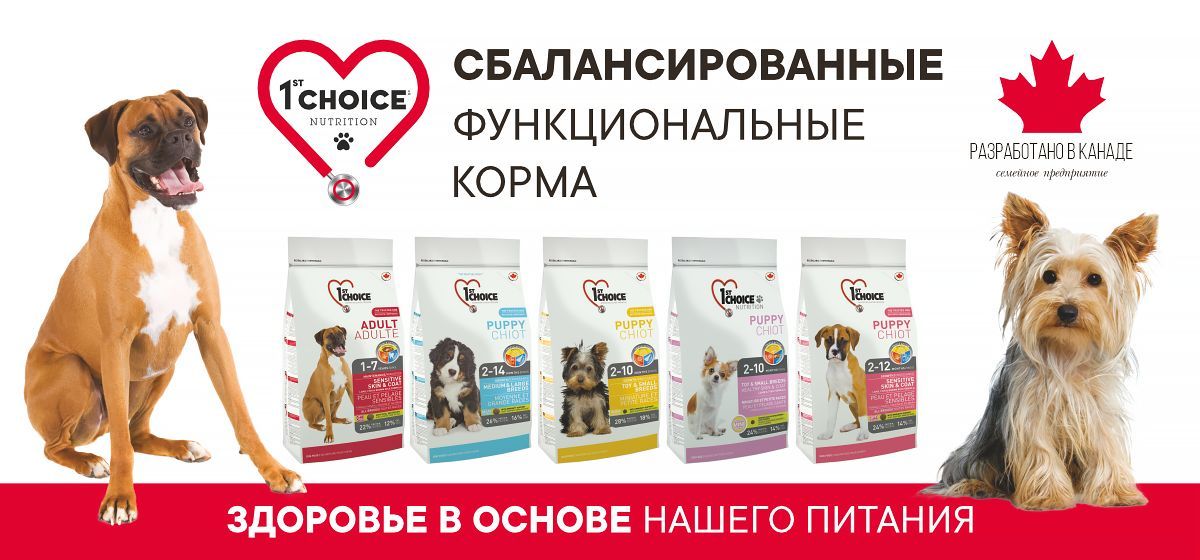 1st Choice Hypoallergenic Для Собак Купить