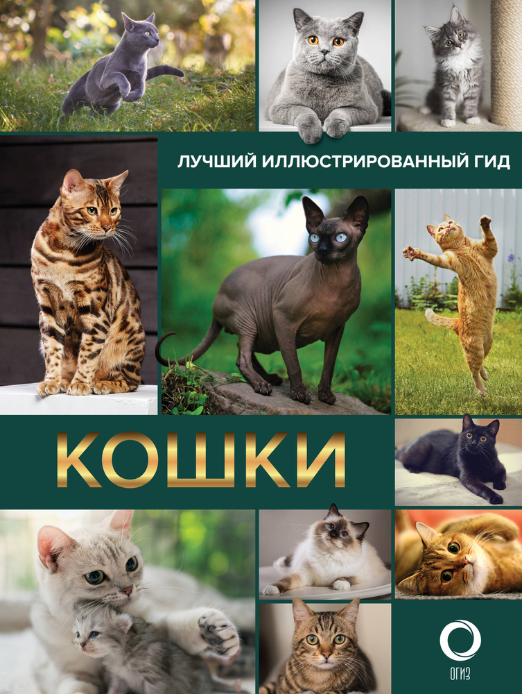 Кошки. Лучший иллюстрированный гид #1