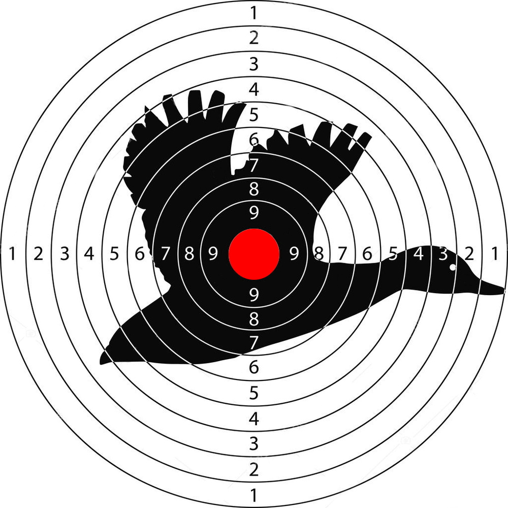 Рисунок мишени для стрельбы