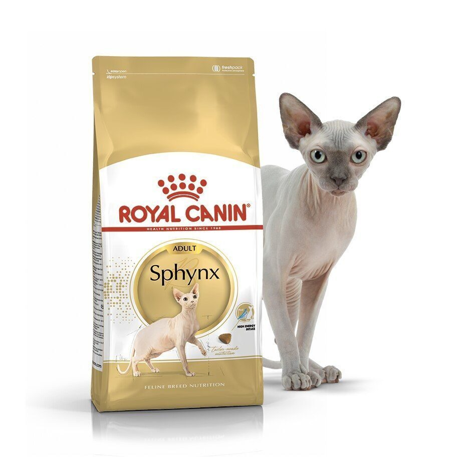 Royal Canin Breed cat Sphynx / Сухой корм Роял Канин для взрослых кошек породы Сфинкс страше 1 года, #1