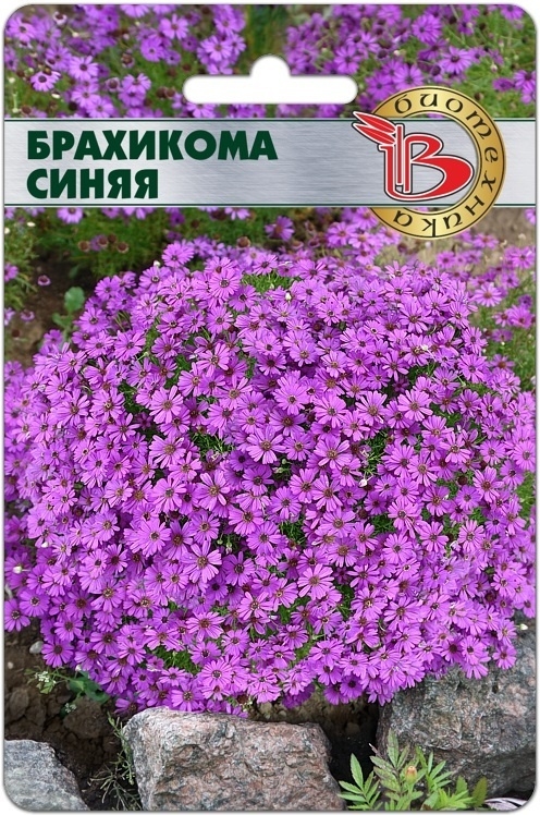 Брахикома СИНЯЯ (Семена БИОТЕХНИКА, 200 шт. семян в упаковке)  #1