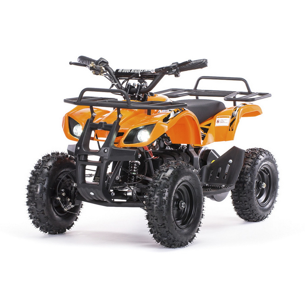 Детский электрический квадроцикл MOTAX Mini Grizlik X-16 1000W New ...