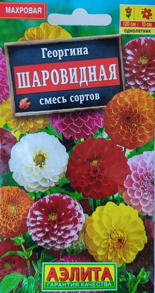 Семена Георгина Шаровидная, смесь сортов, однолетнее, Аэлита, 0.2 г  #1