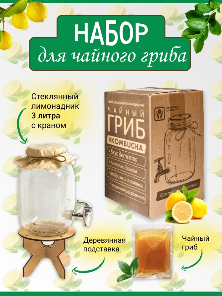 Набор для чайного гриба(лимонадник стеклянный 3 литра) / Большой гриб+инструкция + подставка деревянная #1