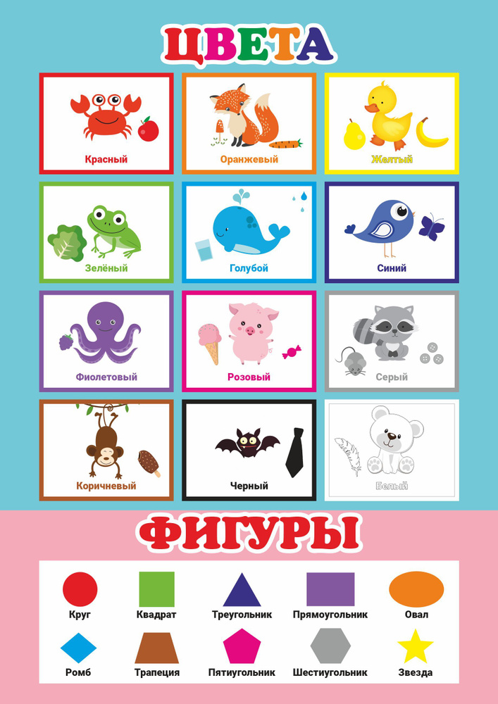 Развивающий плакат учим фигуры и цвета А3 - купить с доставкой по выгоднымценам в интернет-магазине OZON (617940519)